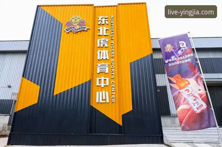 盈嘉体育移动端如何改变你的观赛体验？