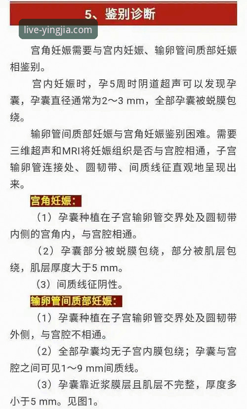 盈嘉体育直播卡顿问题诊断与解决完整指南
